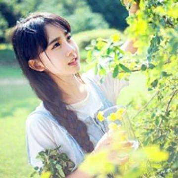 kok中欧登录入口app下载