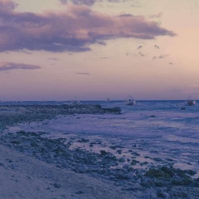 体育投注网址365