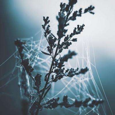 ayx体育在线登录下载手机版截图