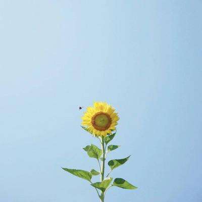 博鱼电竞下载手机版