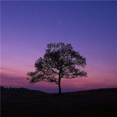 中欧·体育(KOK)中国官方网站app下载