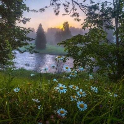 竞猜足球appapp下载