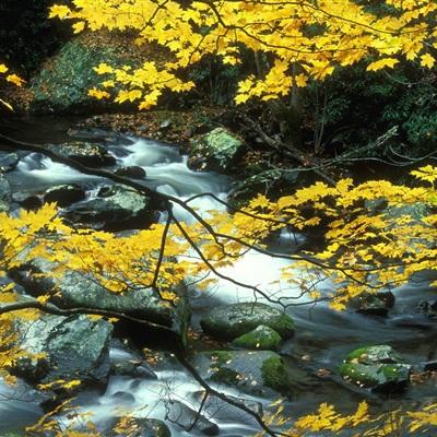 中欧·体育(KOK)中国官方网站app下载