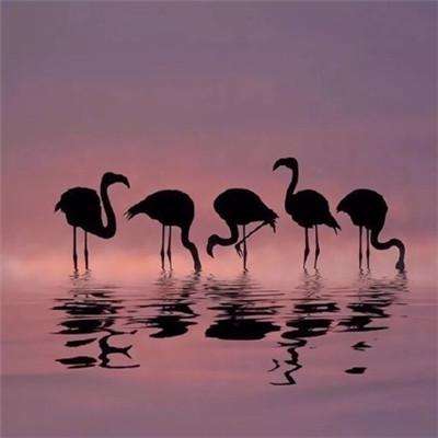 百姓彩票下载中心